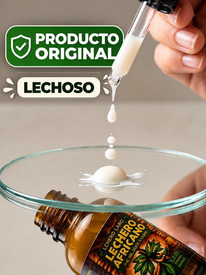 LECHERO AFRICANO 30ml - La Planta de la Vida. Apoya procesos inflamatorios, mejora sistema inmune y vitalidad masculina