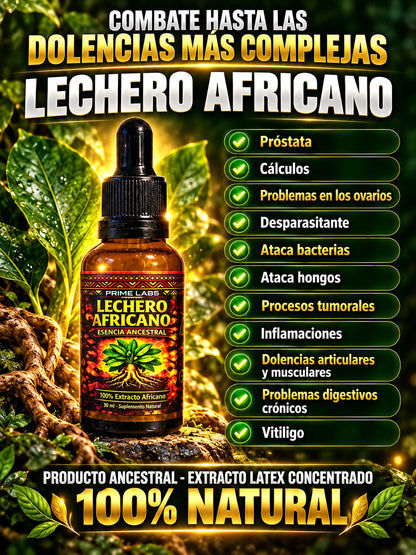 LECHERO AFRICANO 30ml - La Planta de la Vida. Apoya procesos inflamatorios, mejora sistema inmune y vitalidad masculina